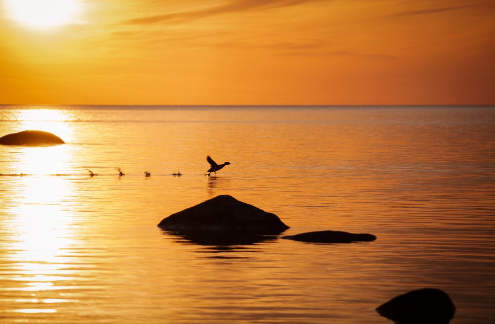 Photograph by Кристина Сотникова