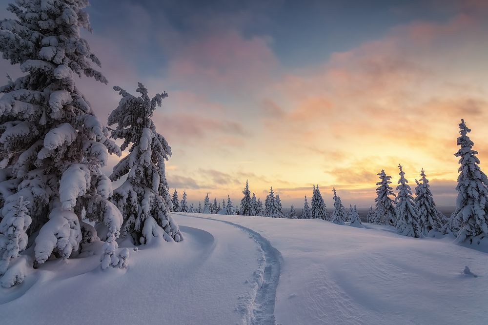 Photograph by Антон Кошетаров