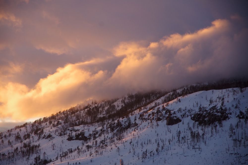 Photograph by Елена Агапкина