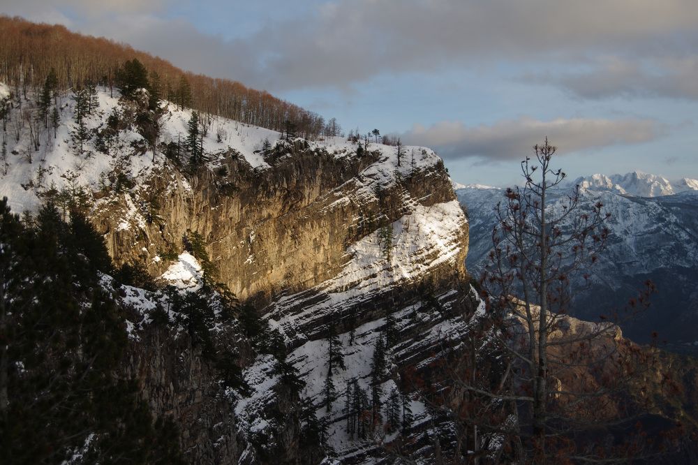 Photograph by Елена Агапкина