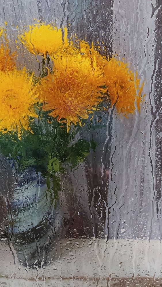 Photograph by Анна Пилипенко