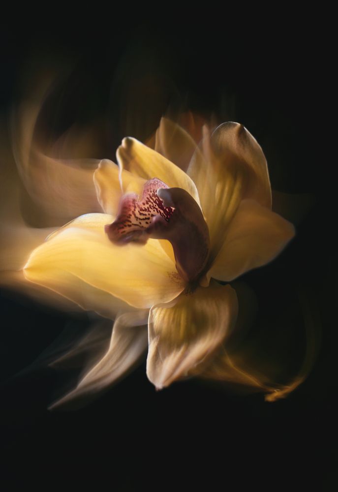 Photograph by Кристина Сотникова