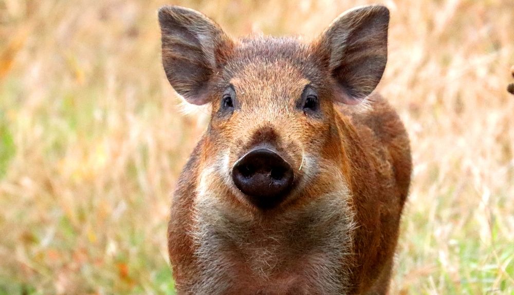Photograph by Юлия Черкасова