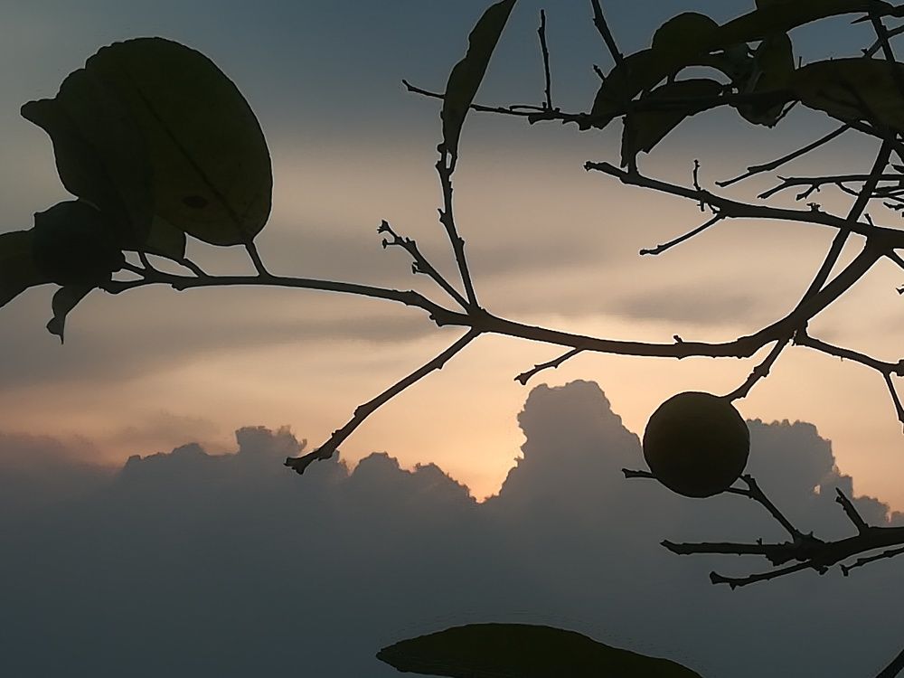 Photograph by Isis Orellana