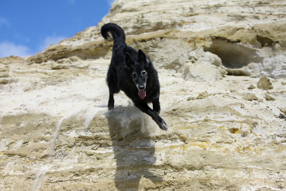 Фотография автора Надежда Лисицына