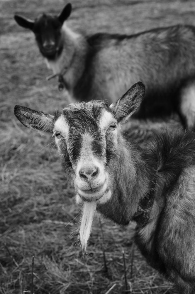 Photograph by Матвей Краузе