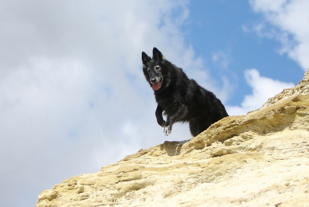 Фотография автора Надежда Лисицына