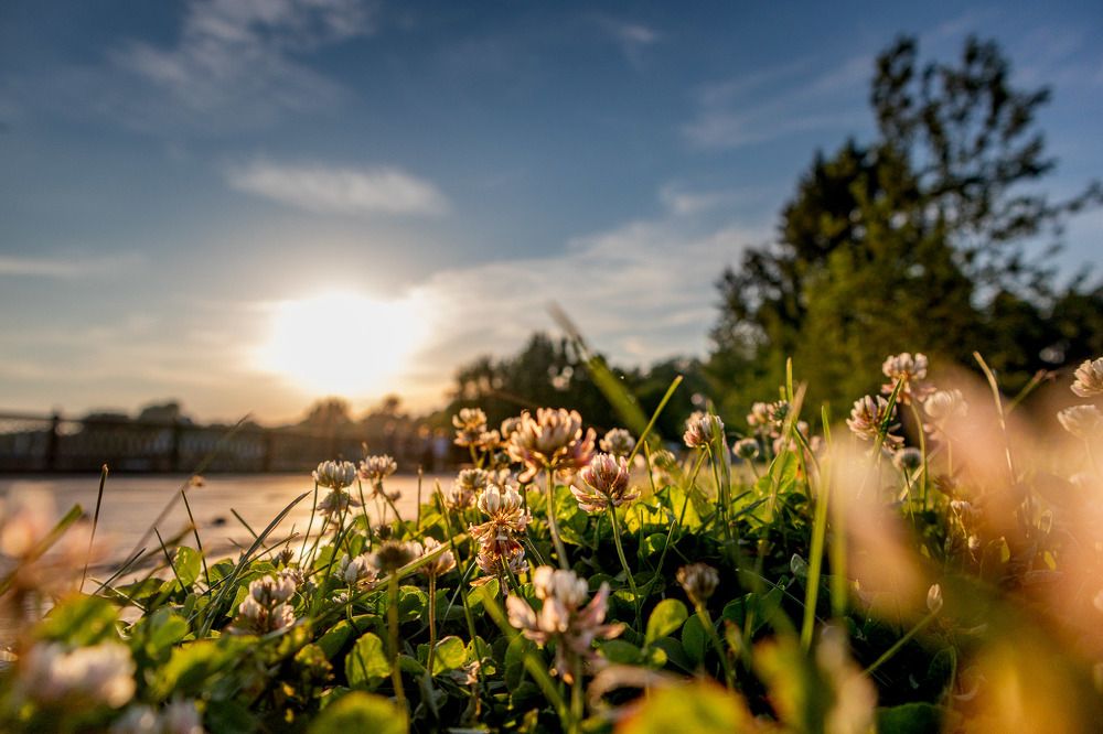 Photograph by Екатерина Милешкина