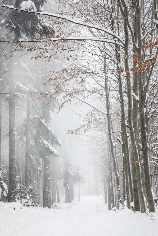 Photograph by Katarzyna Bochniak