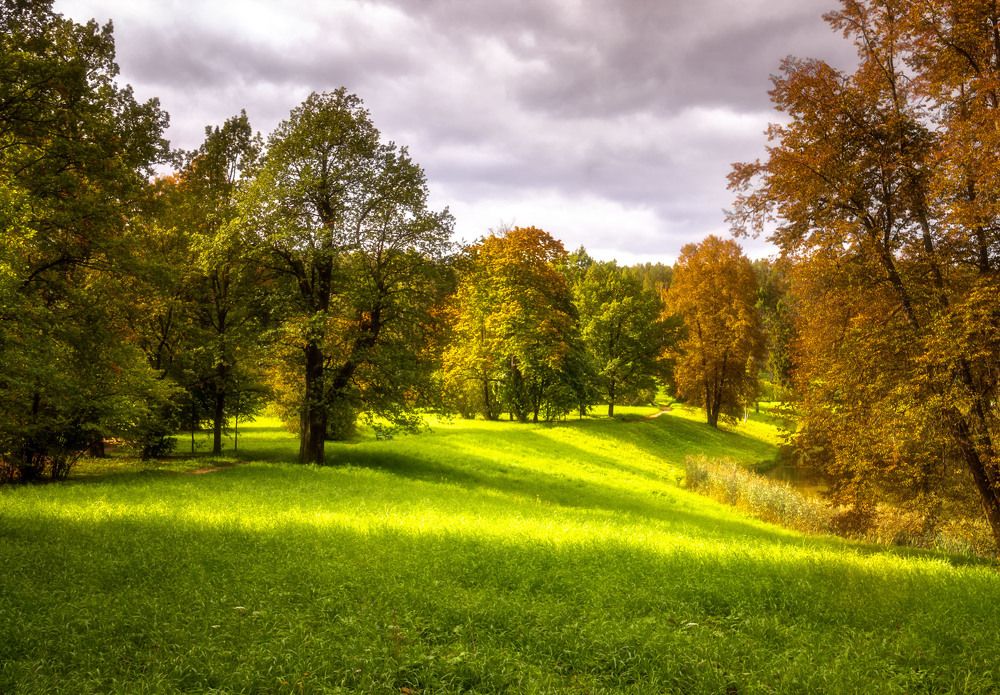 Photograph by Алексей Герасимов