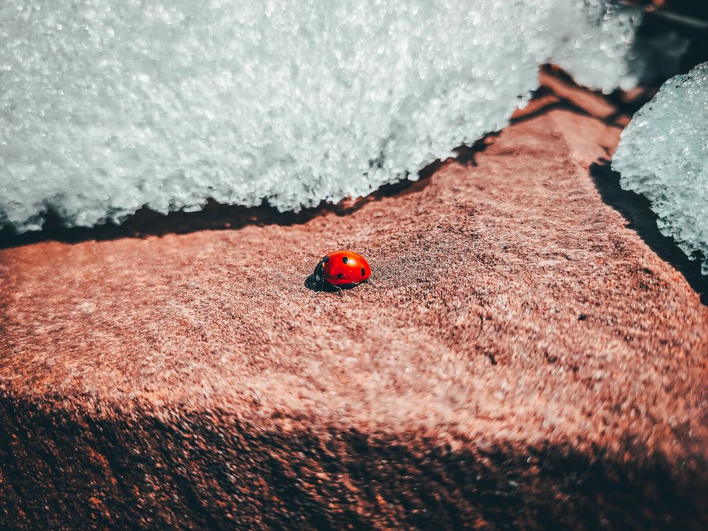 Фотография автора Кристина Шефер