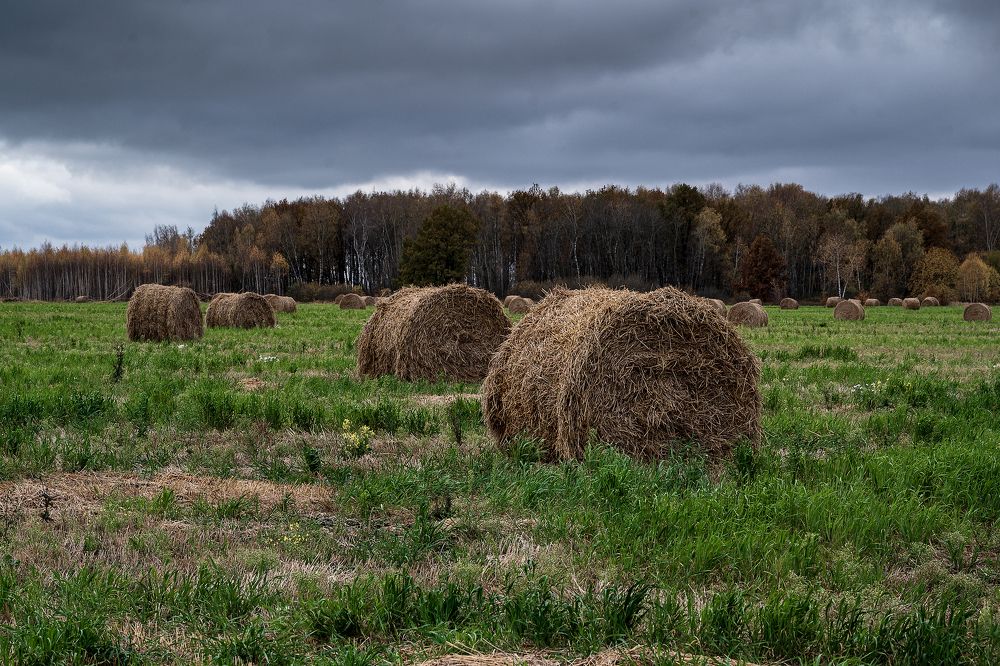 Photograph by Павел Терехов