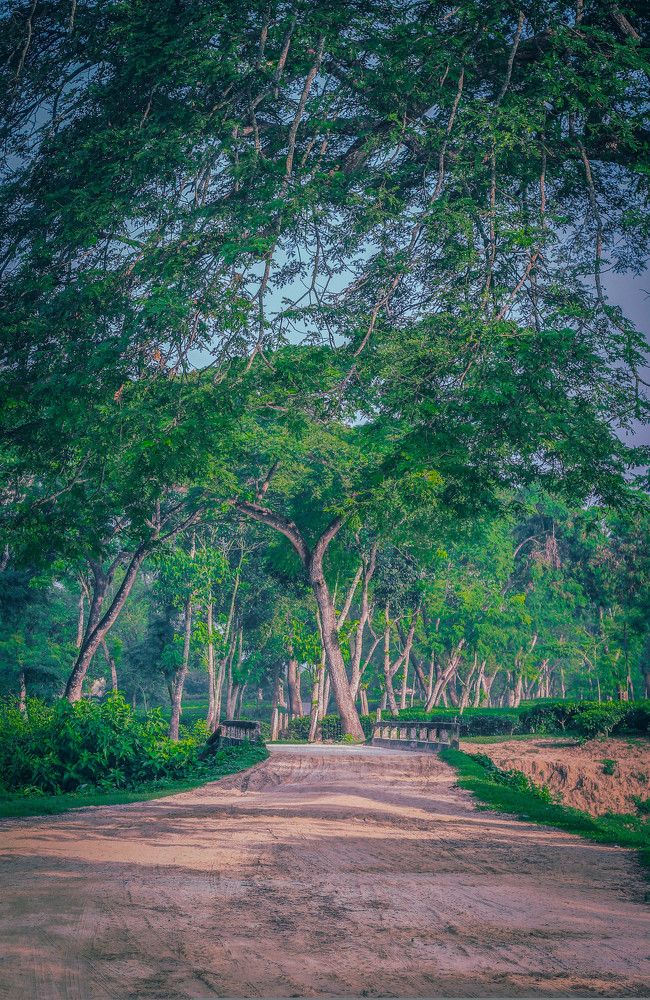 Photograph by Sameer Dash