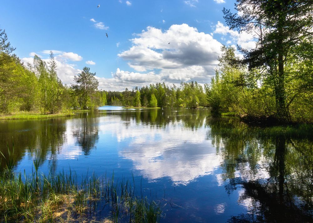 Photograph by Алексей Герасимов