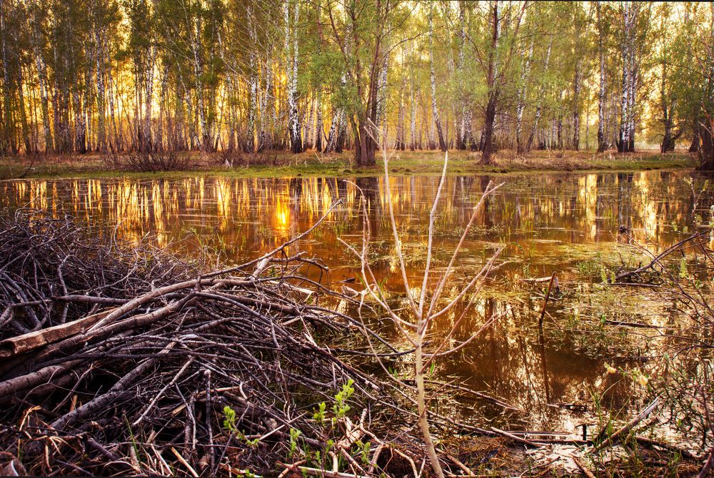 Photograph by Матвей Краузе