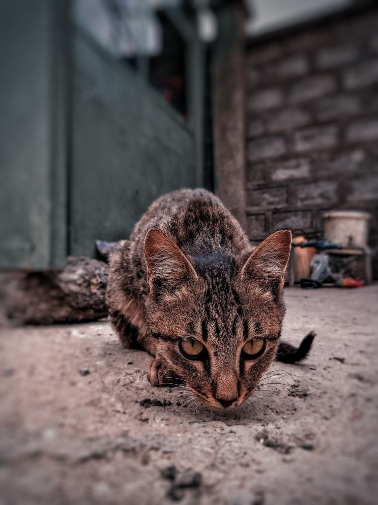 Photograph by Milliyon Belete