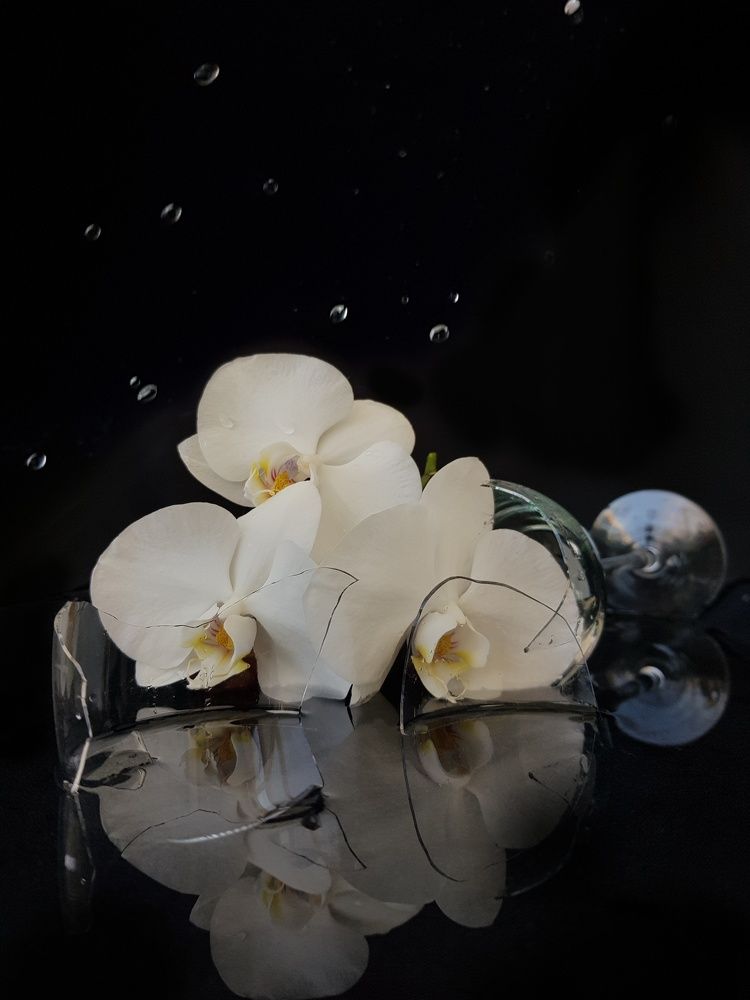 Photograph by Татьяна Яркович