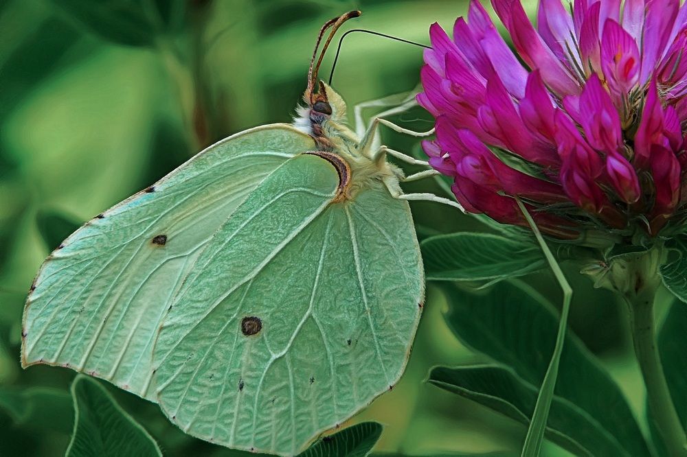 Photograph by Ирина