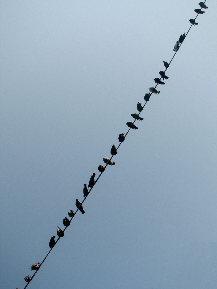 Photograph by Татьяна Цолина