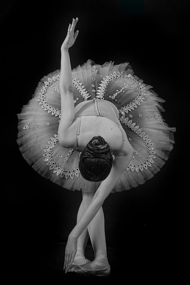 Фотография автора Ricardo Q T Rodrigues