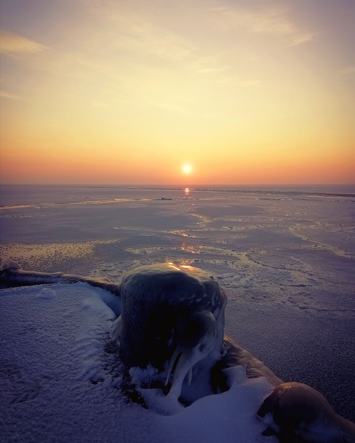 Photo #7348968