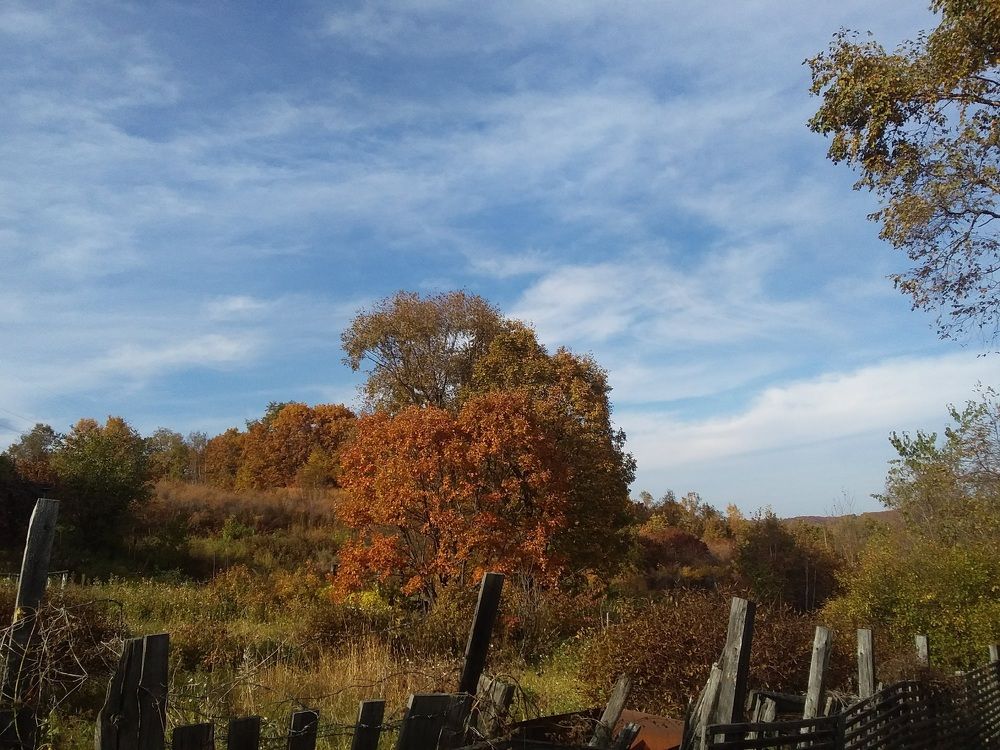 Photograph by Максим Дубинин