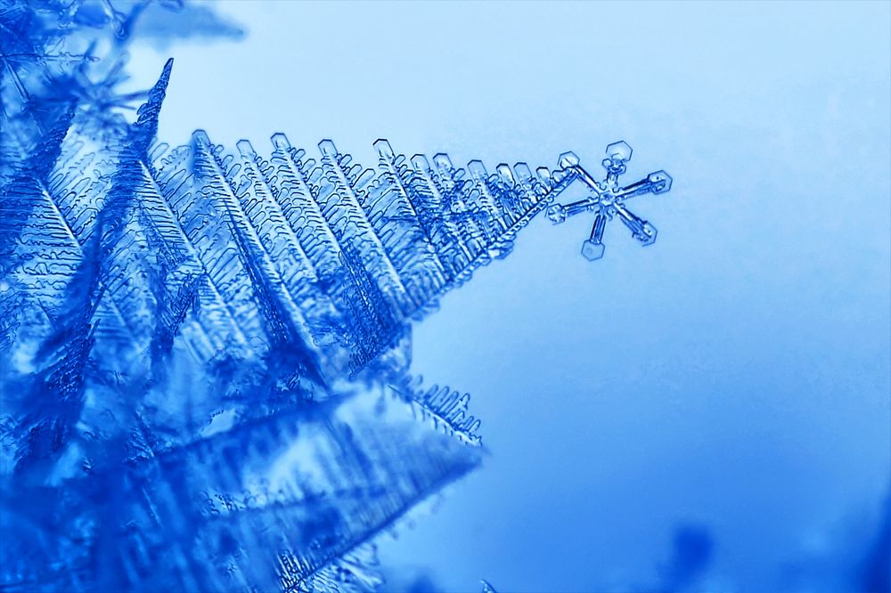 Photograph by Ромил Федоров