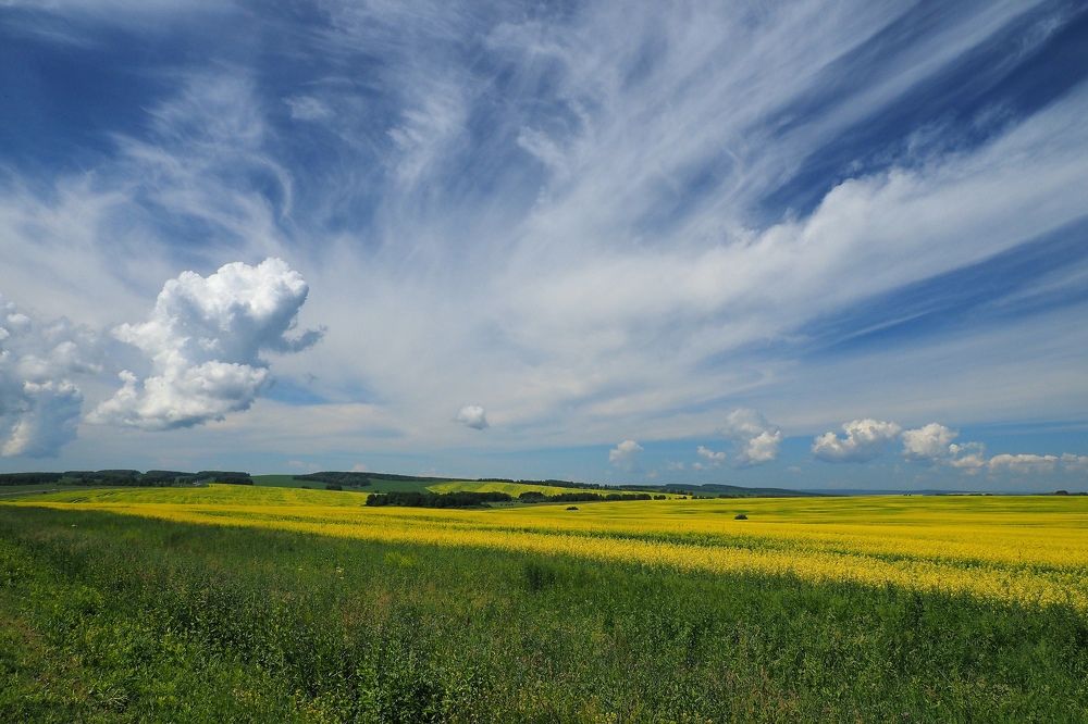 Photograph by Александр Баран