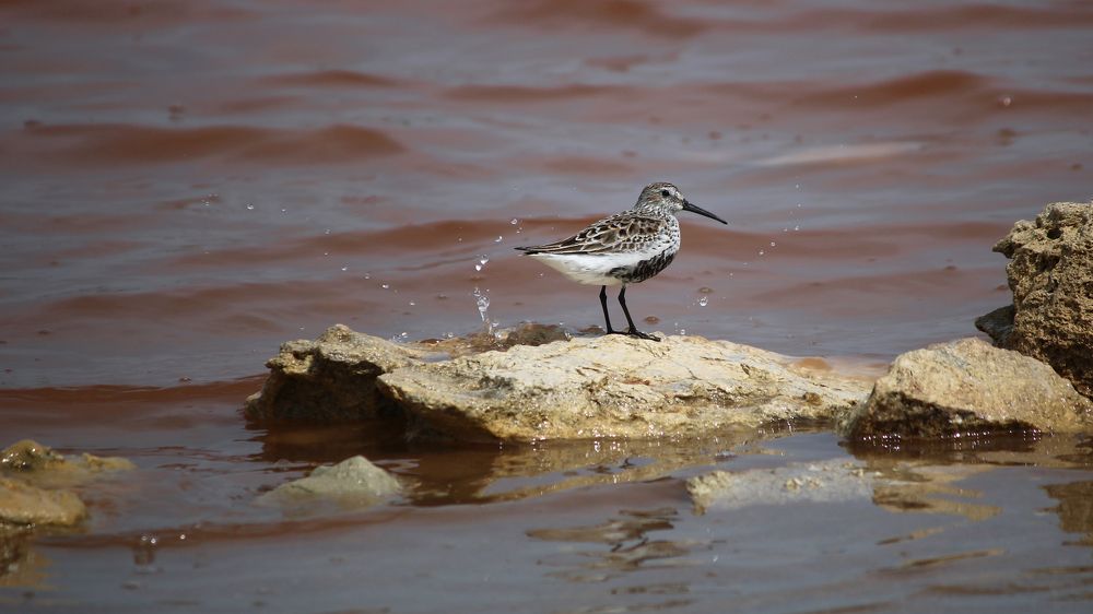 Photograph by Анжела