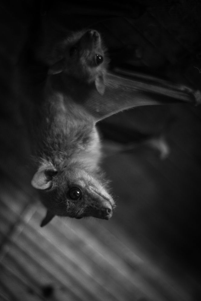 Photograph by Инна Яровая