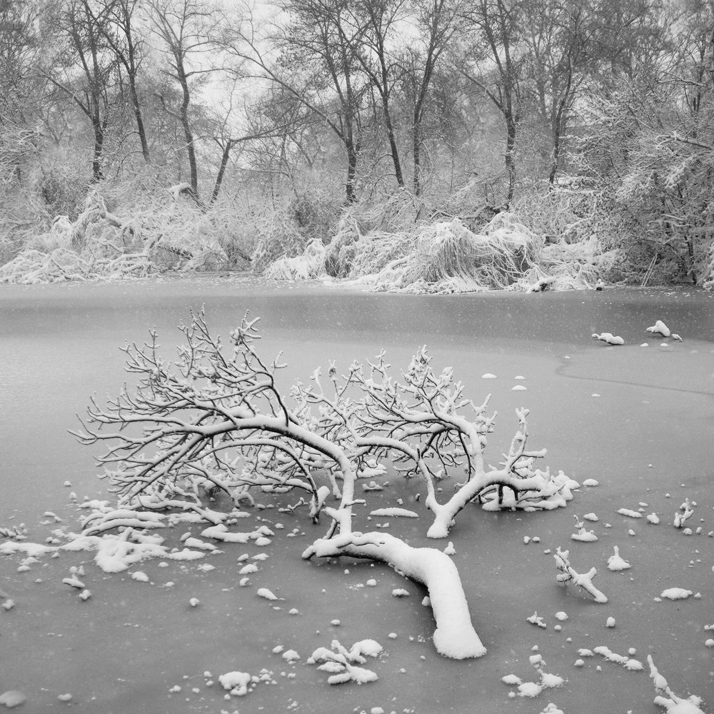 Photograph by Игорь Юркивский