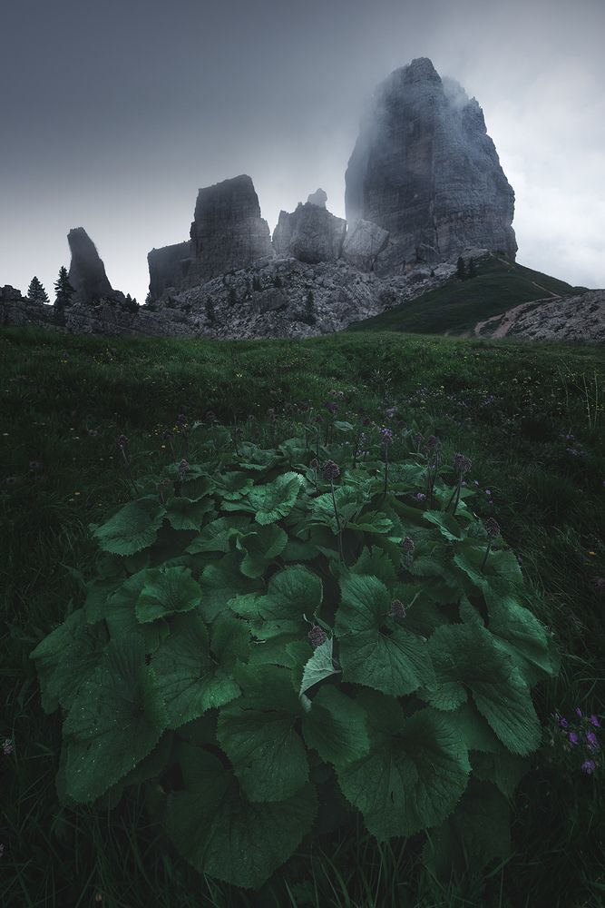 Photograph by Carlo Pagliuca