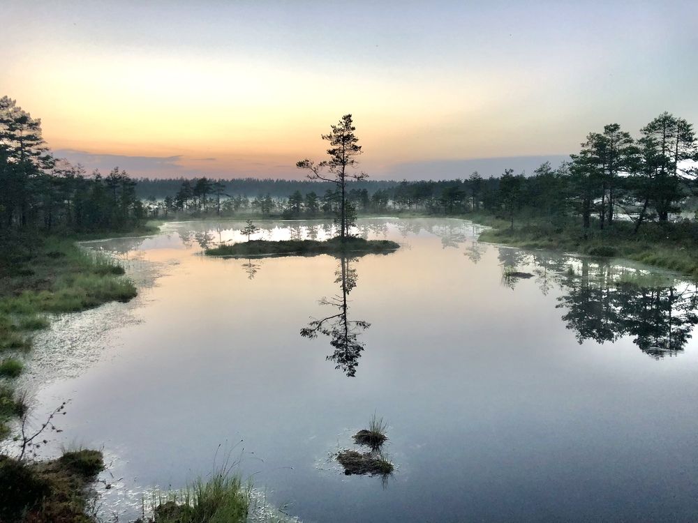 Photograph by Andres Papp