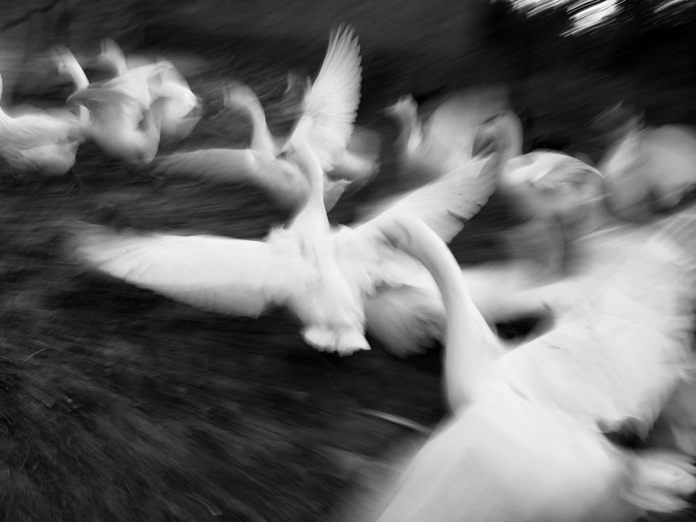 Photograph by Игорь Юркивский