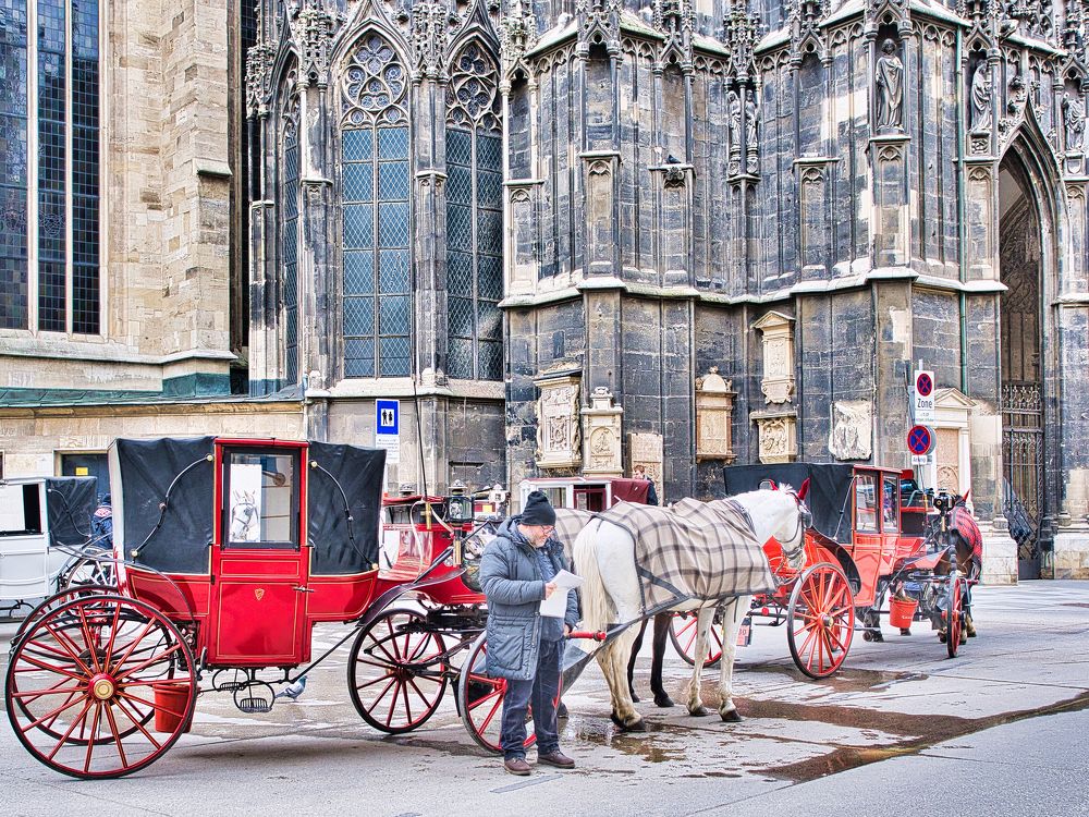 Последние новости