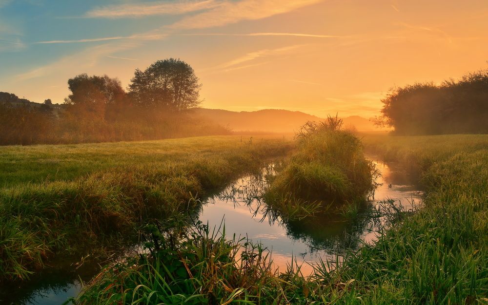 Photograph by Elena Wymann