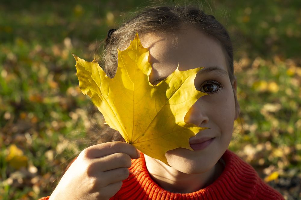 Photograph by Дарья Ващенко-Панкина