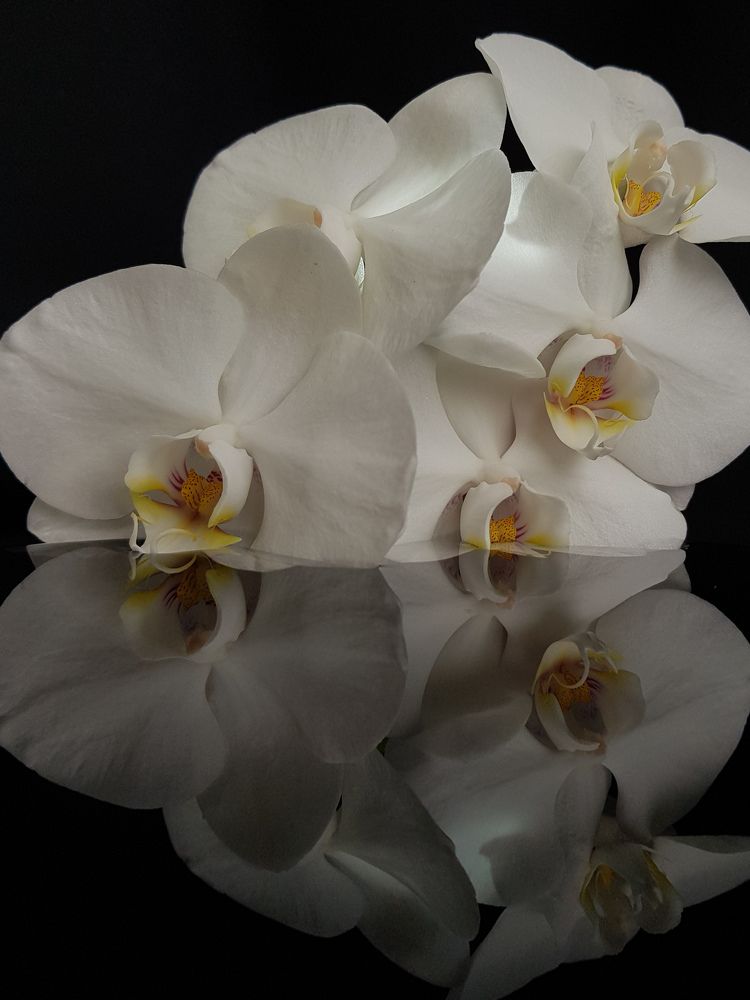 Photograph by Татьяна Яркович