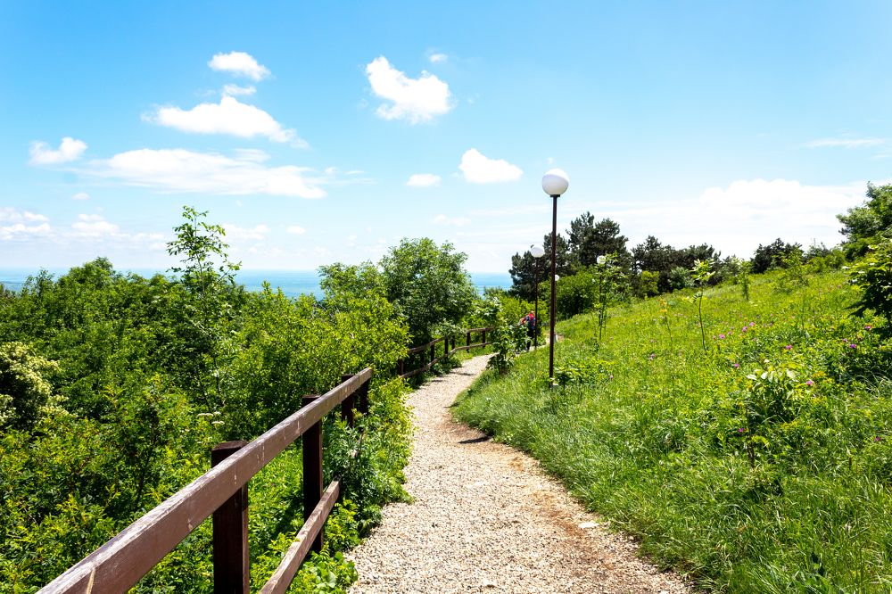 Photograph by Ольга Абрамова