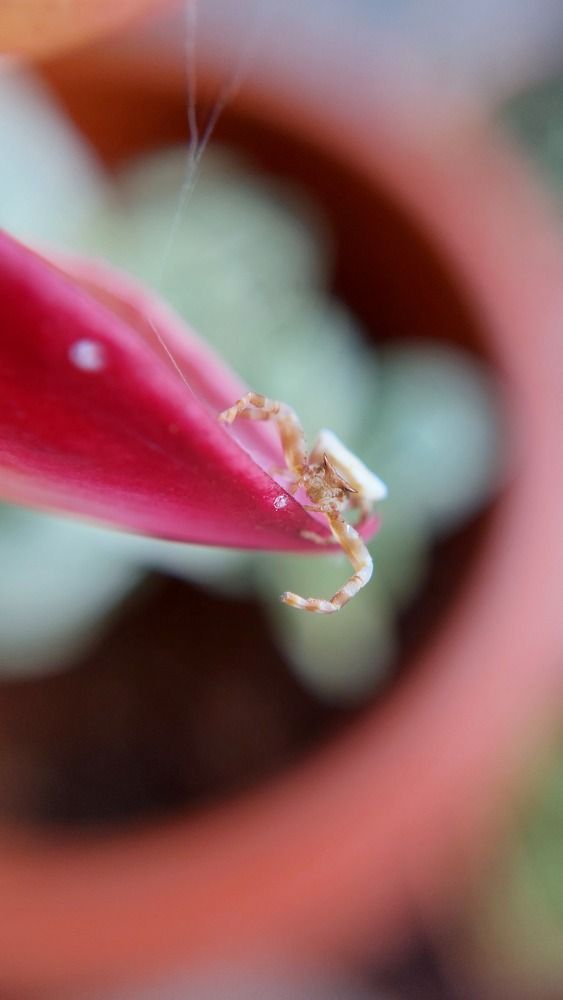 Photograph by Meenakshy S Nair