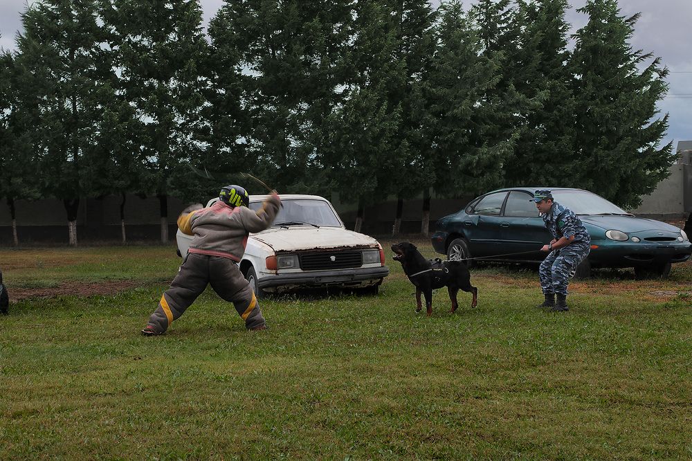 Photograph by Айдын Мехтиев