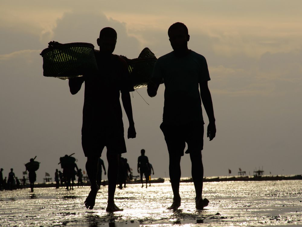 Photograph by Rajib Chowdhury