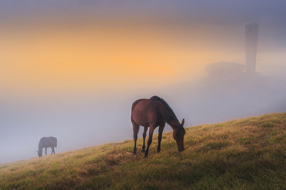 Photograph by Slavi Zayakov