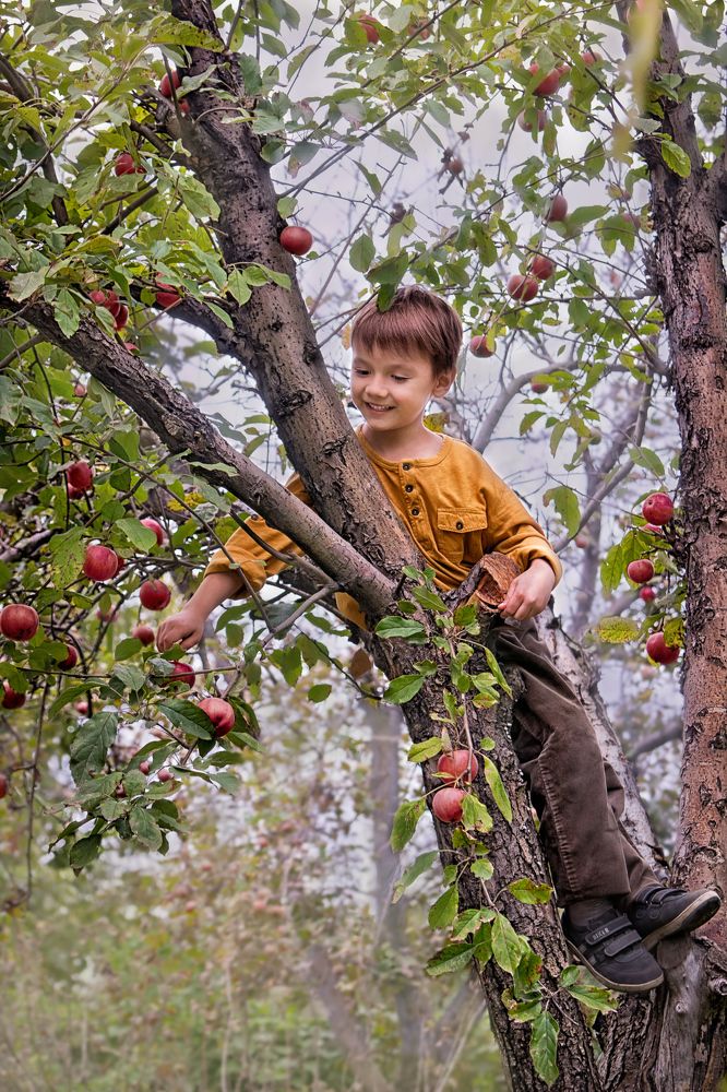 Photograph by Светлана Чужданова
