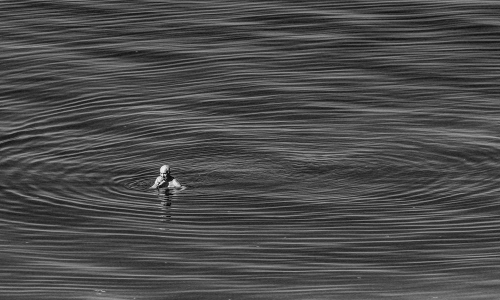 Photograph by Иван Щекаев