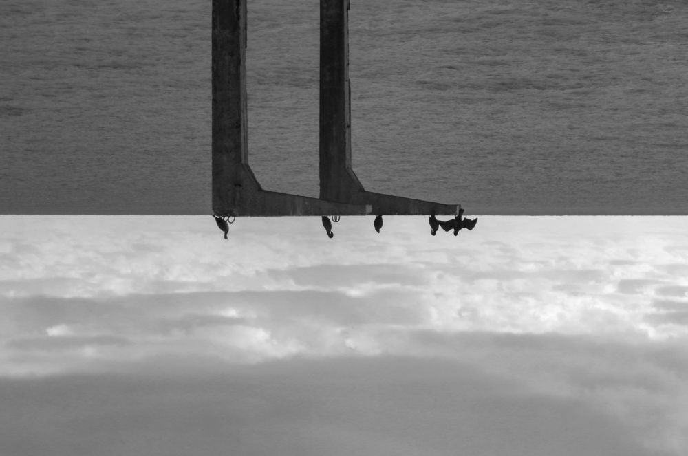 Photograph by Иван Щекаев