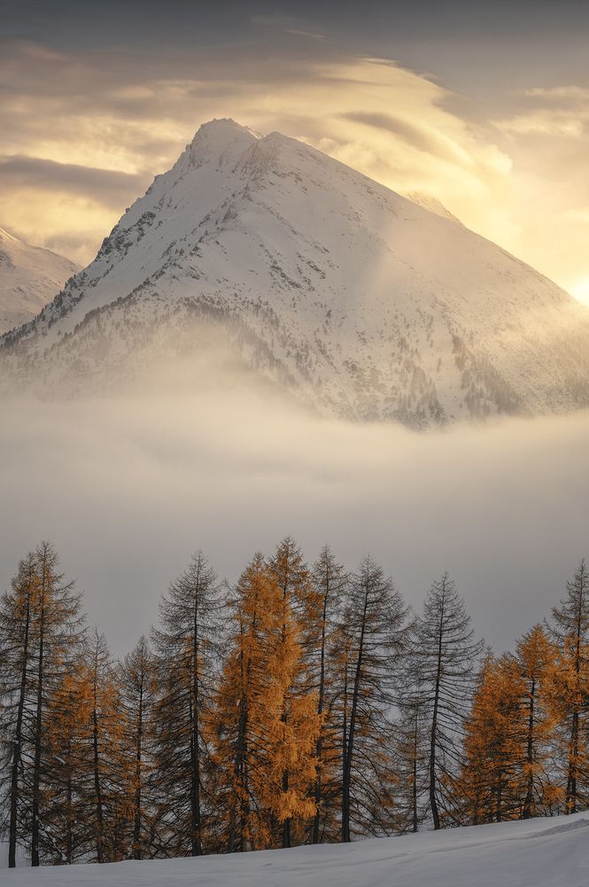 Photograph by Carlo Pagliuca