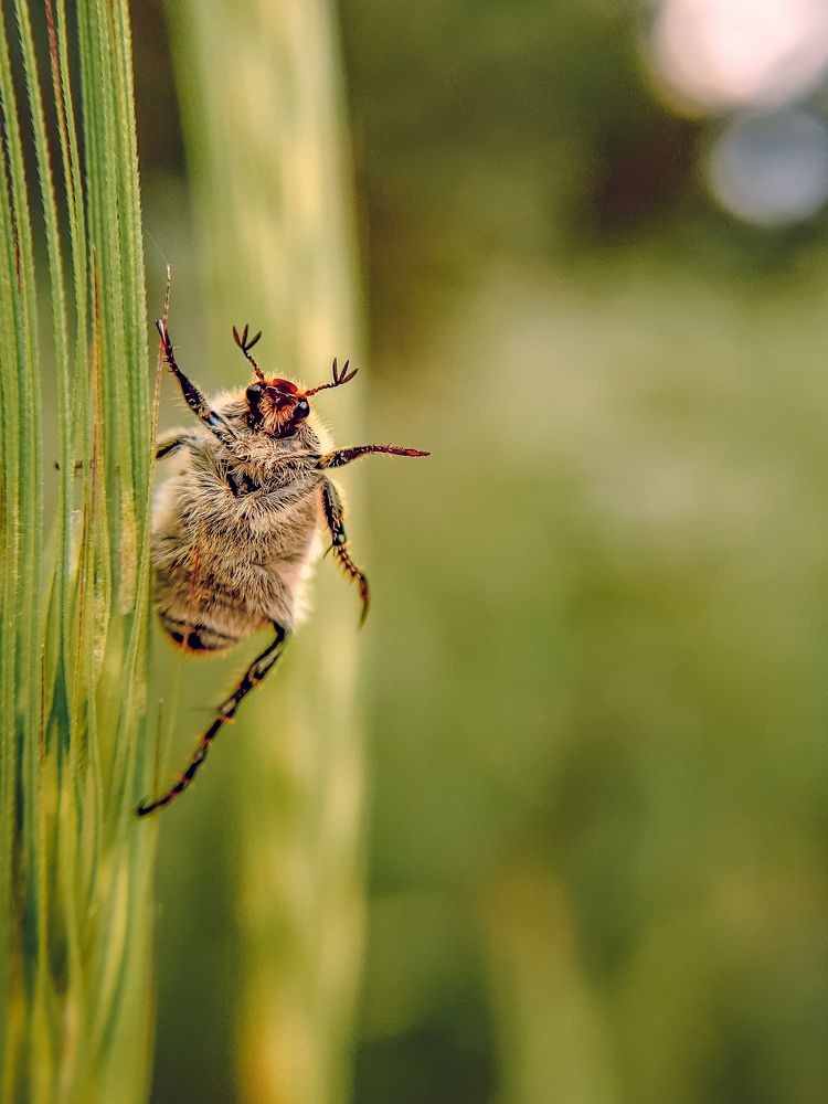 Photograph by Сергей Колос
