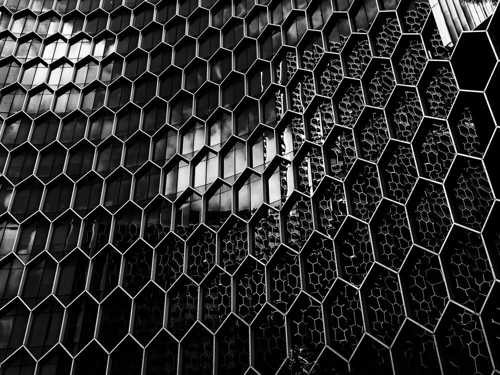 Photograph by ANMDEOS LS TEO