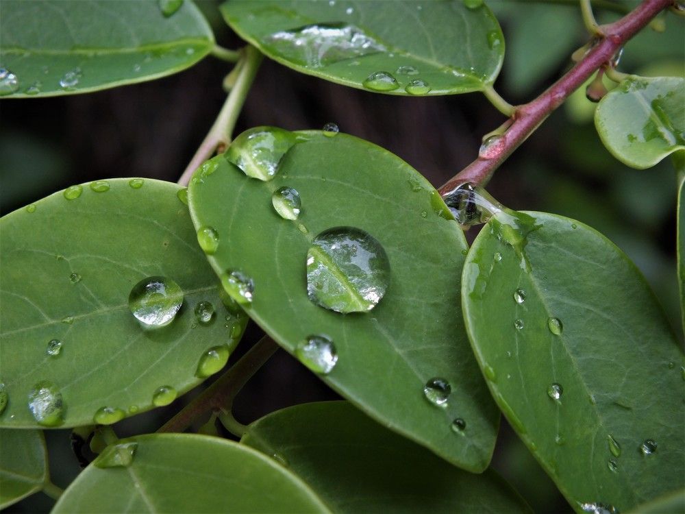 Photograph by Faisal Adhi Putra